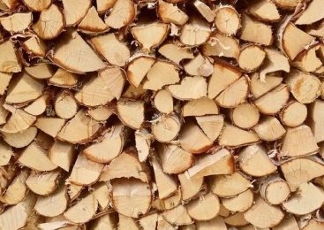 О выборе дров для отопления дома