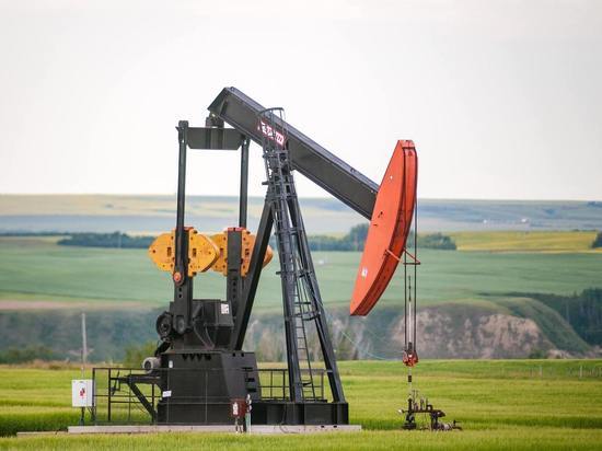 Эксперт рассказал, что для России значит создание эталонного сорта нефти