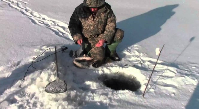 Зимняя рыбалка как вид отдыха