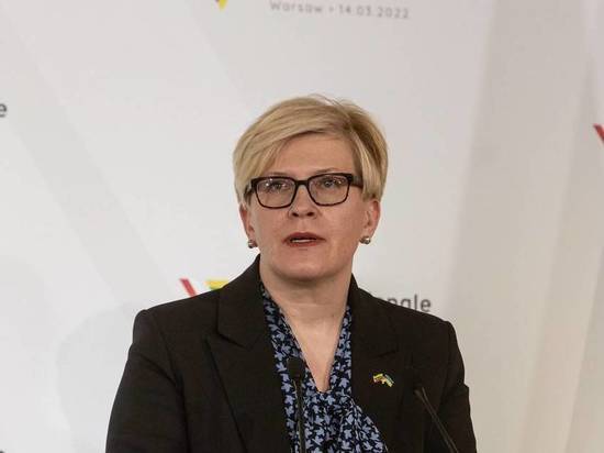 Слова премьера Литвы о проблемах украинцев вызвали возмущение в республике