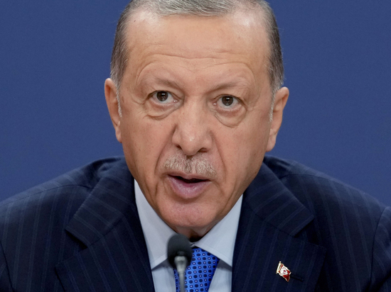 Выяснились роль Эрдогана в пересмотре «зерновой сделки»