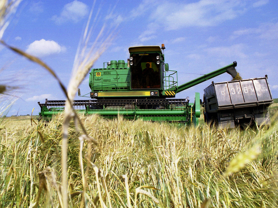 Названы риски введения квот на поставки в Россию импортных семян