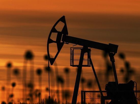 Американские экономисты назвали условие резкого подорожания нефти: оно вызвало споры